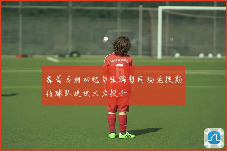 蒙哥马利回忆与张稀哲同场竞技期待球队进攻火力提升