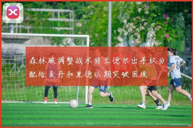 森林狼调整战术将兰德尔出手权分配给麦丹和里德以期突破困境